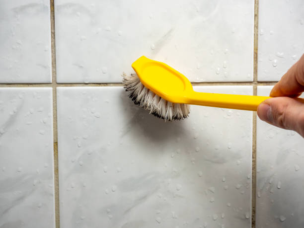 Best Health and Safety Mold Remediation in Pine Grove, CA