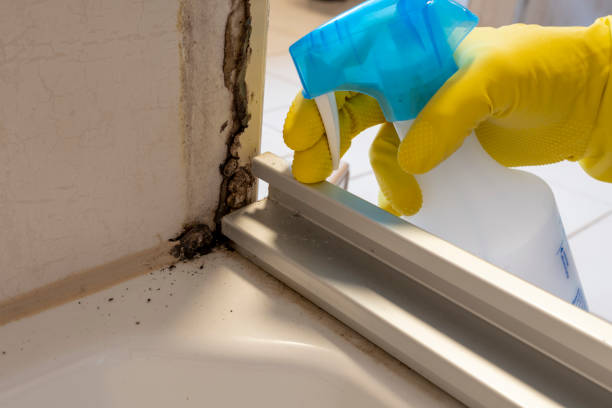 Best Residential Mold Remediation in Pine Grove, CA