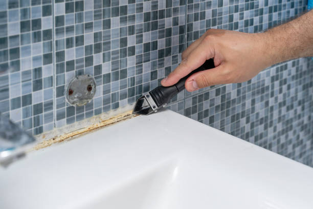 Best Mold Testing and Inspection Services in Pine Grove, CA