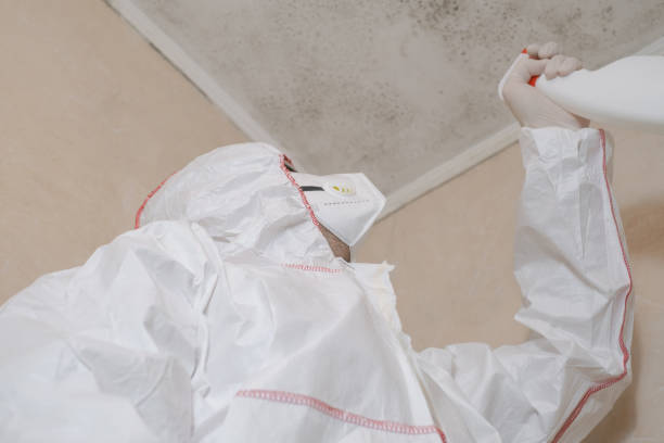 Best Commercial Mold Remediation in Pine Grove, CA