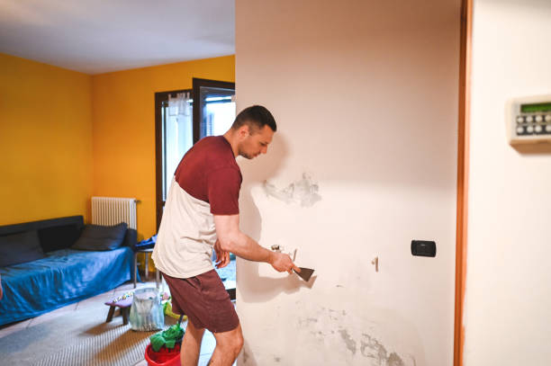 Best Attic Mold Remediation in Pine Grove, CA